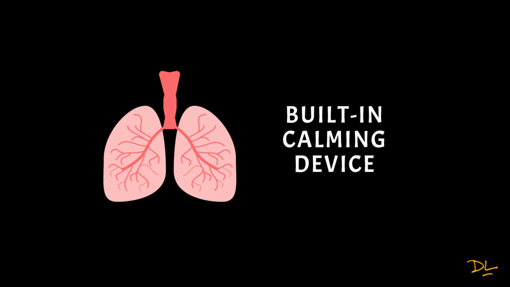 Drawing of human lungs. Text next to lungs that reads "Built-in calming device."